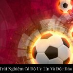 Bóng Đá Vt999 Trải Nghiệm Cá Độ Uy Tín Và Độc Đáo Chuyên Nghiệp
