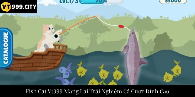 Fish Cat Vt999 Mang Lại Trải Nghiệm Cá Cược Đỉnh Cao