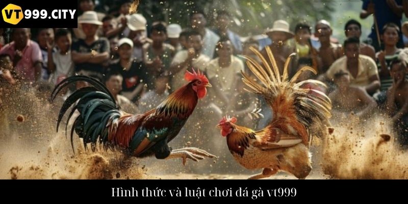 Hình thức và luật chơi đá gà vt999