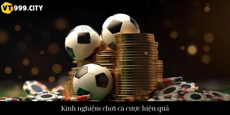 Kinh nghiệm chơi cá cược hiệu quả